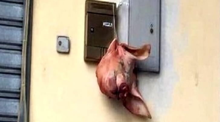  Juventus Club Olevano, atto spregevole: testa di maiale fuori dalla sede