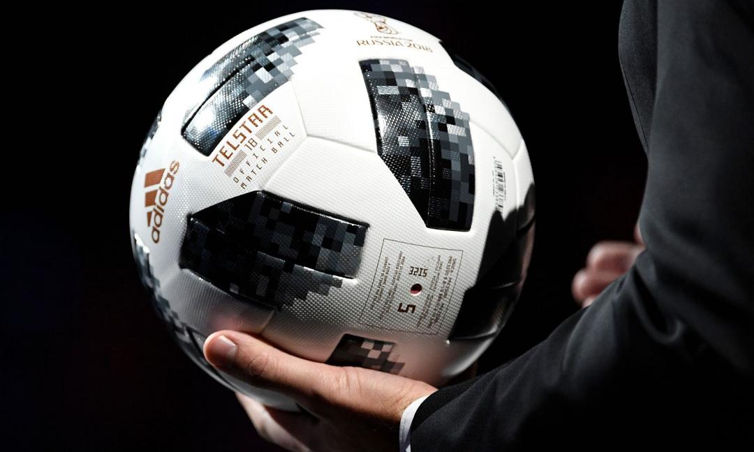 Cani randagi massacrati a Taghazout: problema per i Mondiali di calcio del 2026