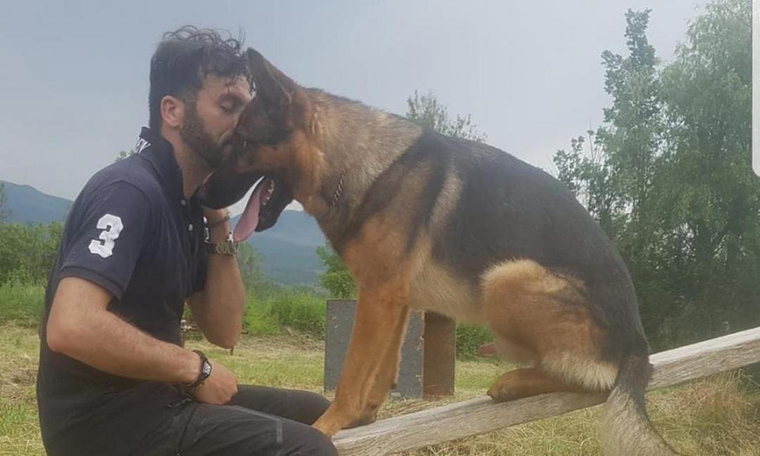 Ucciso Kaos, il cane eroe di Amatrice: il delirio di una società malata