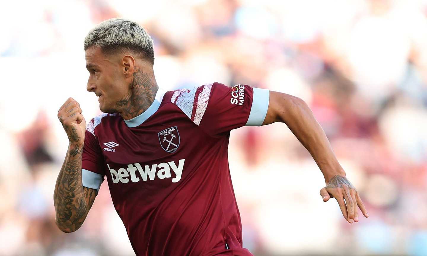 SCAMACCA Image gallery