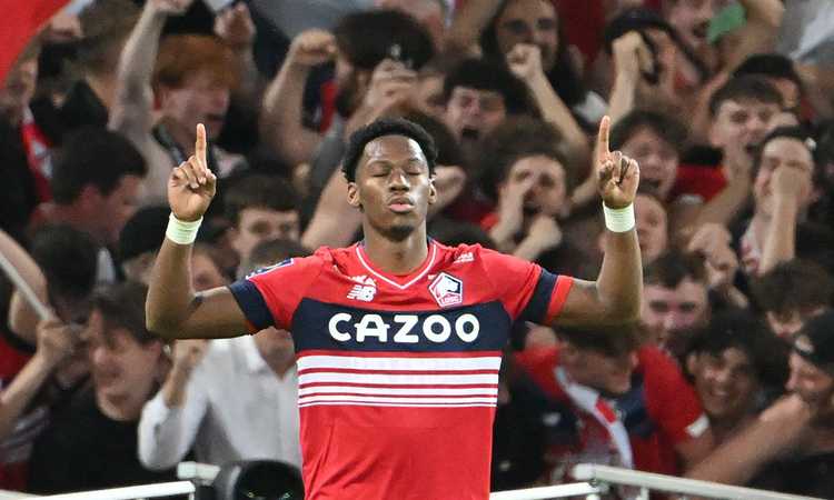 David splende sempre col Lille: Giuntoli e l'Osimhen bis, cosa serve alla Juve