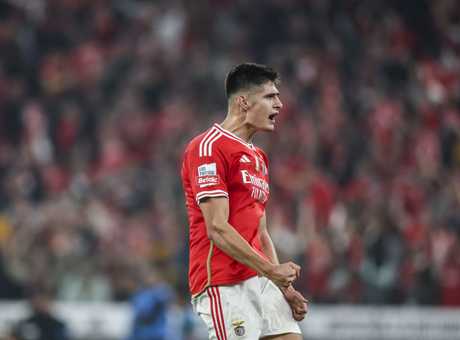 Perchè Antonio Silva non gioca al Benfica